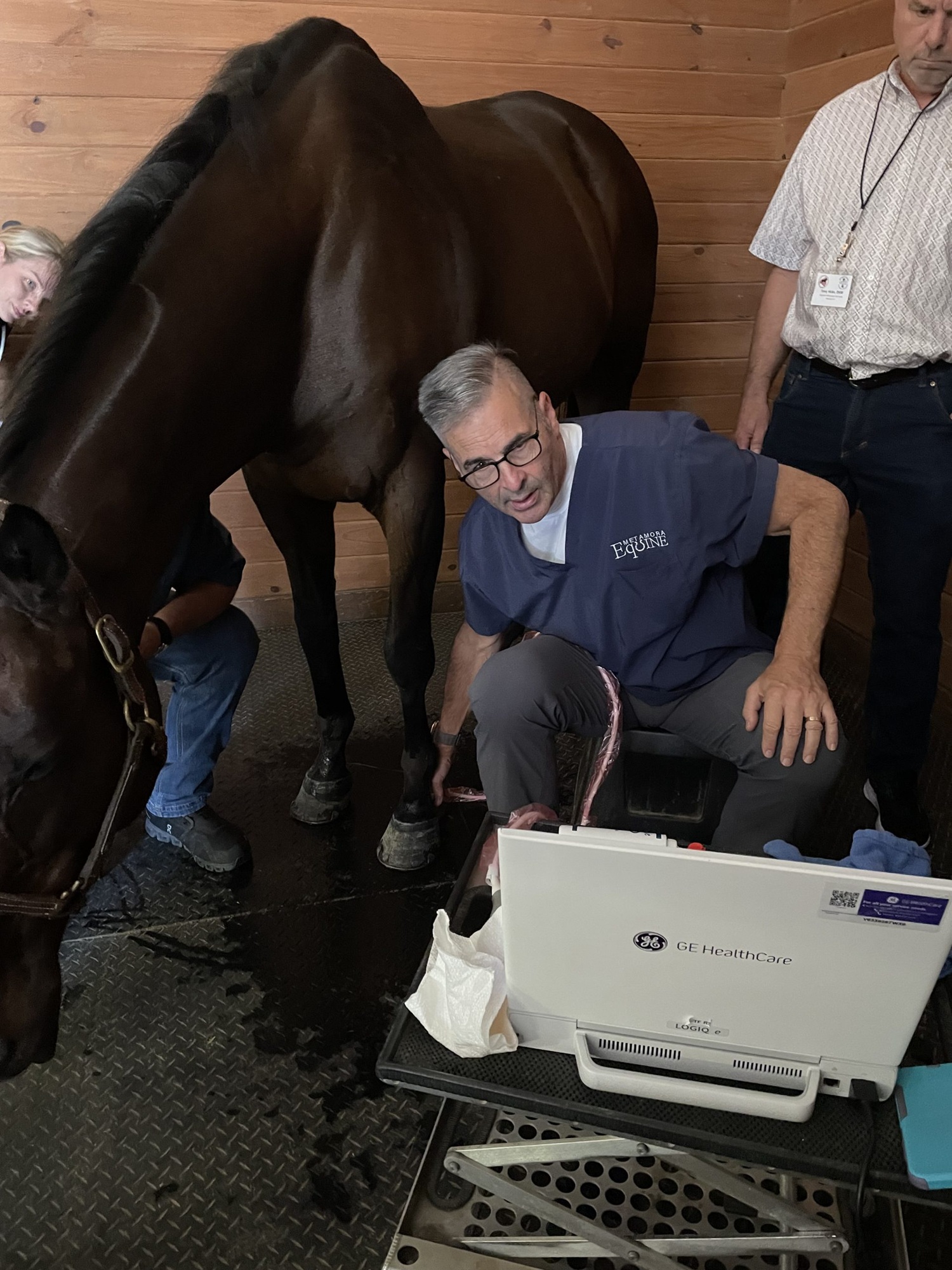 Equine veterinarian examining a horse using diagnostic equipment inside a clinic, showcasing professional care at Metamora Equine – Metamora Equine