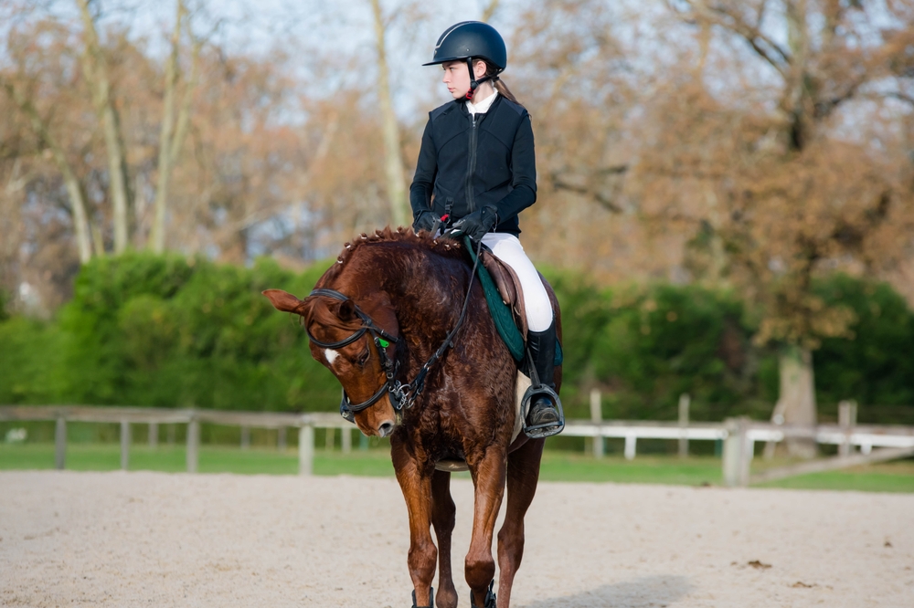 Horse and Rider Jumping Over Obstacle at Equestrian Event – Metamora Equine