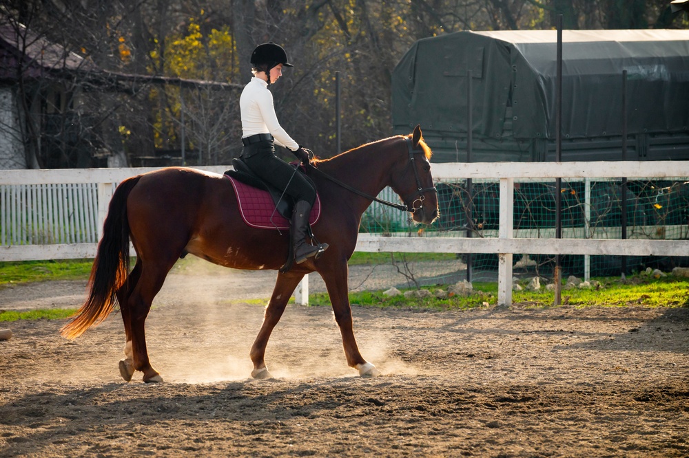 Horse and Rider Jumping Over Obstacle at Equestrian Event – Metamora Equine