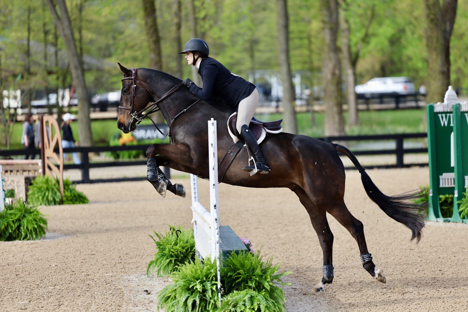 Equestrian rider guiding a horse over a jump during a competition, showcasing performance and training supported by Metamora Equine – Metamora Equine