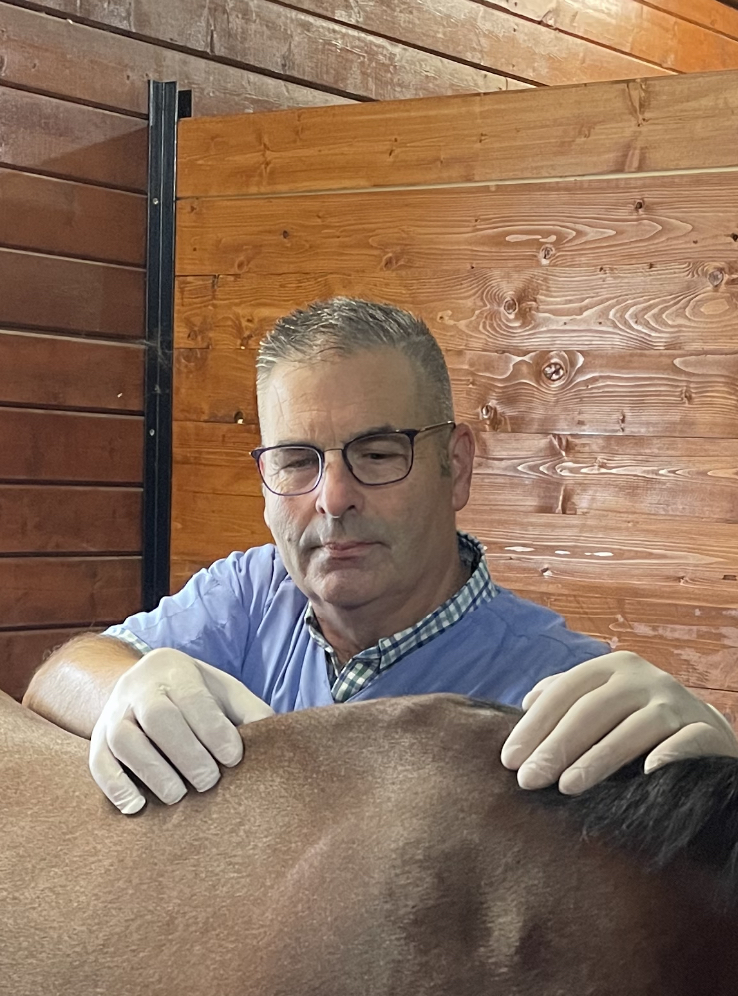 Dr. Thaler performing a physical examination on a horse inside a stable, demonstrating expert equine care at Metamora Equine – Metamora Equine