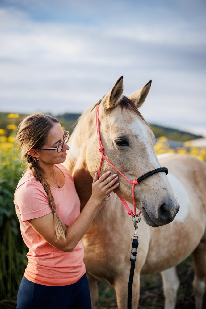 Dr. Thaler Providing Hands-On Equine Care and Examination – Metamora Equine