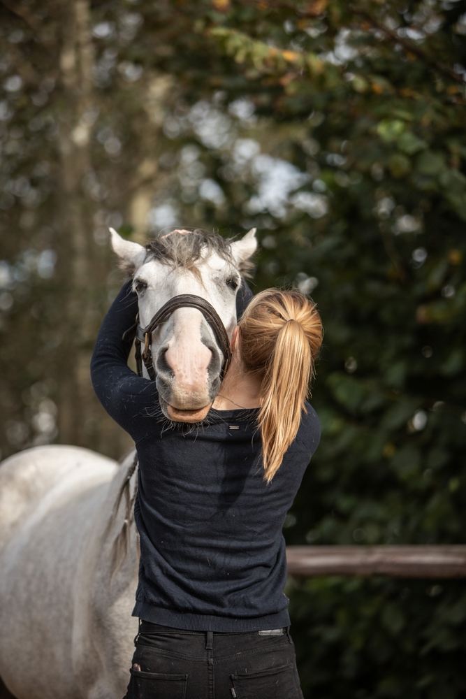 Dr. Thaler Providing Hands-On Equine Care and Examination – Metamora Equine